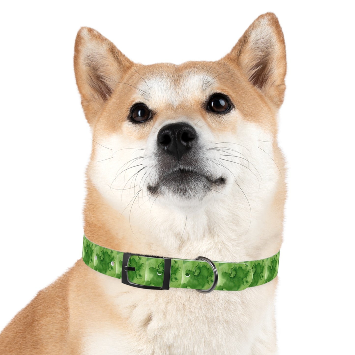 St Patrick's Dog Collar