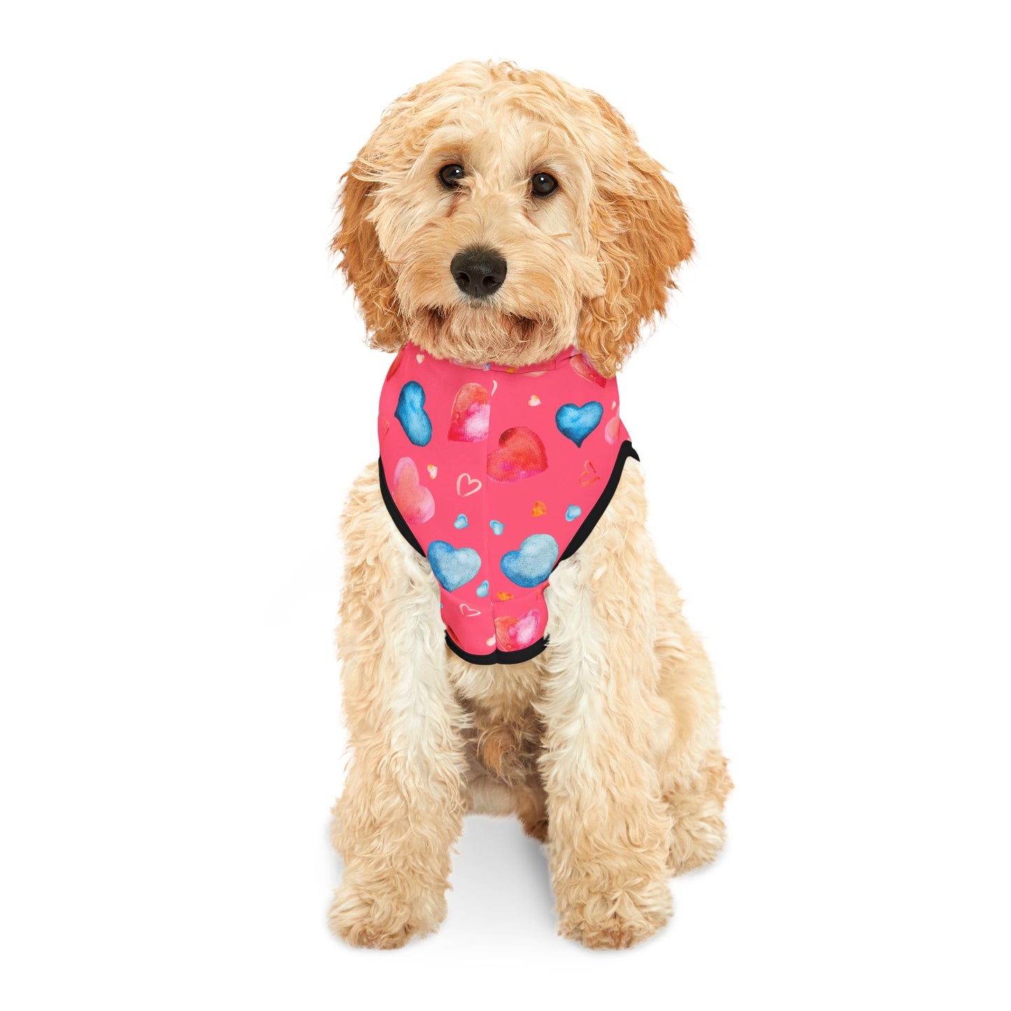 Love Hearts Dog Hoodie