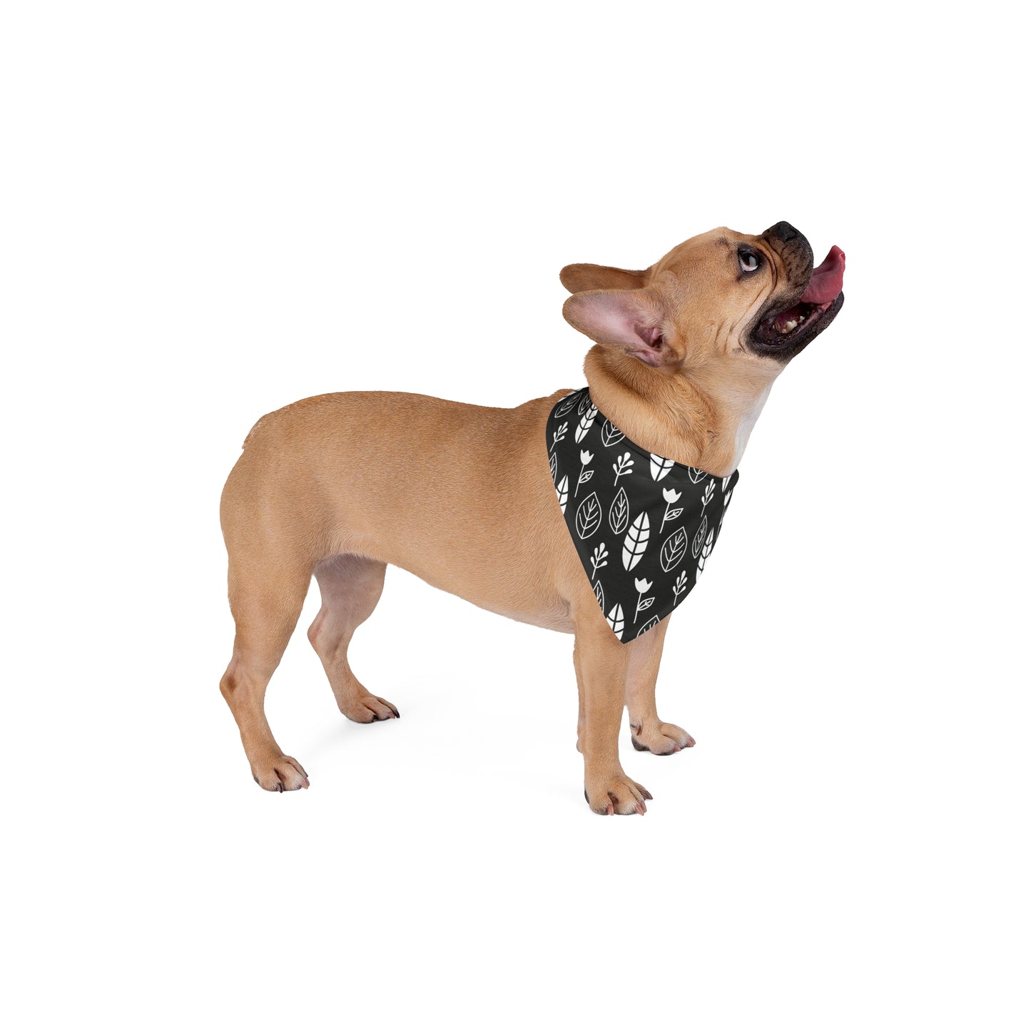 Black & White Leaves & Flowers Dog Bandana