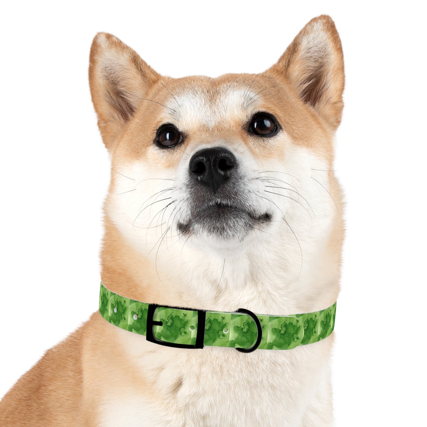 St Patrick's Dog Collar