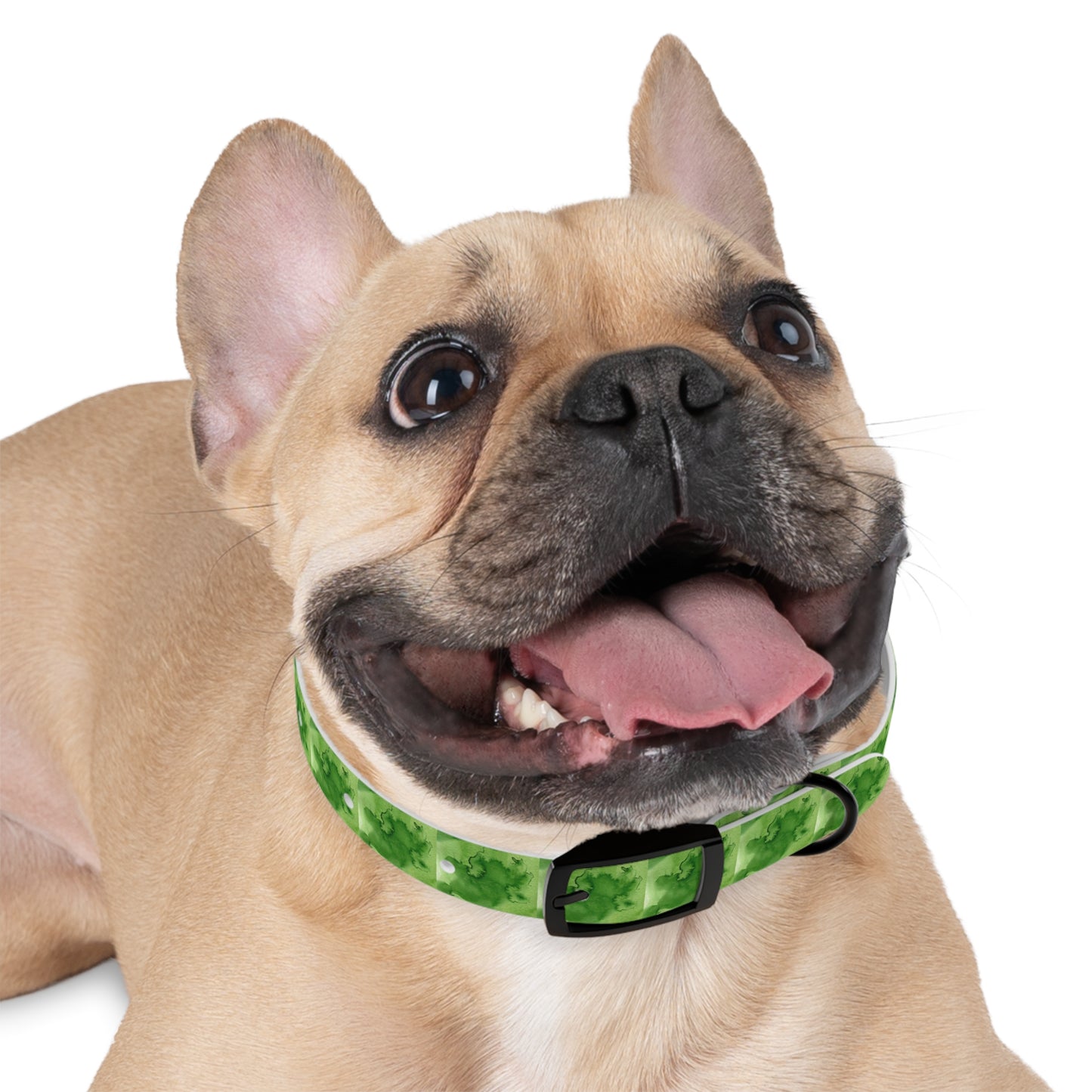 St Patrick's Dog Collar