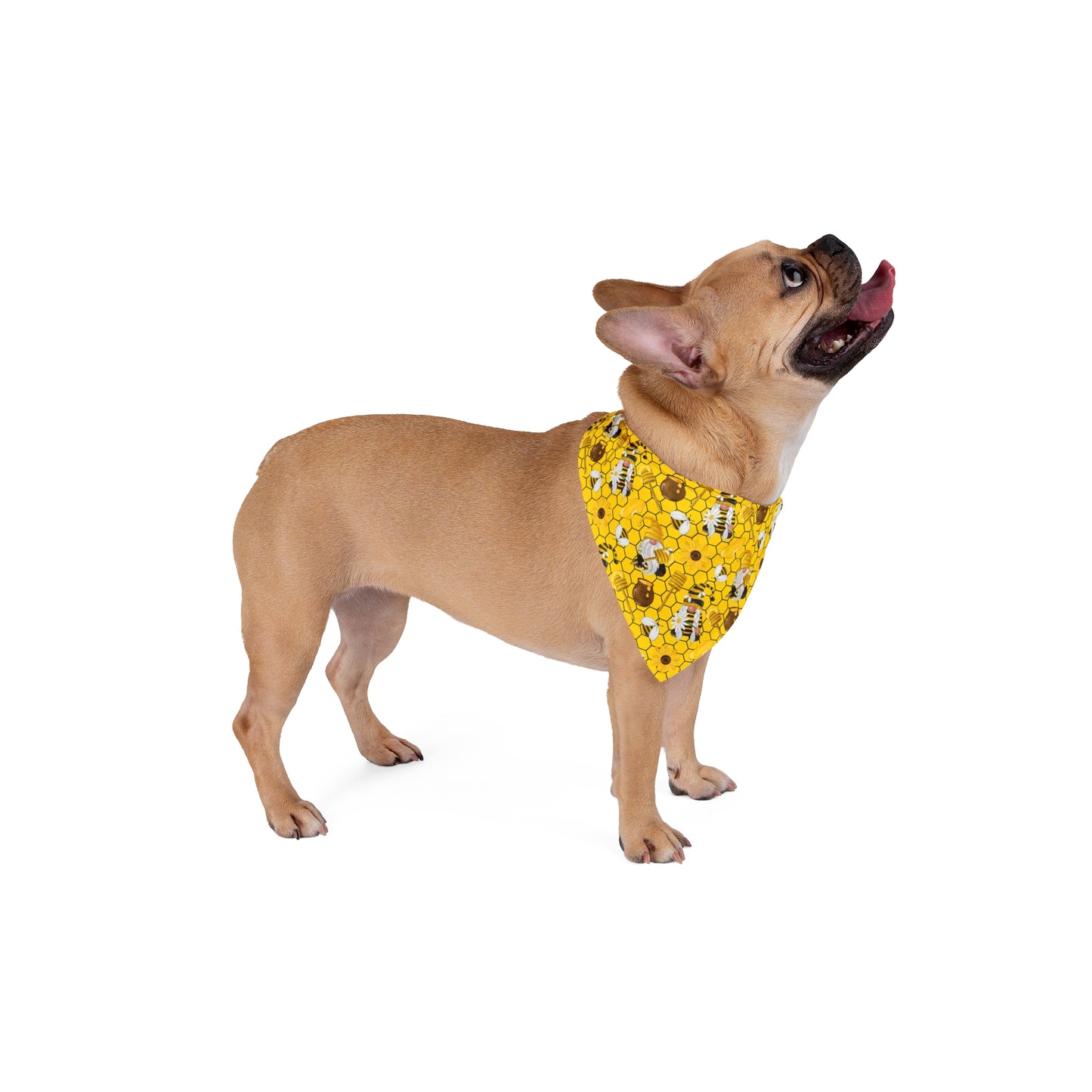 Honey, Bees & Gnomes Dog Bandana