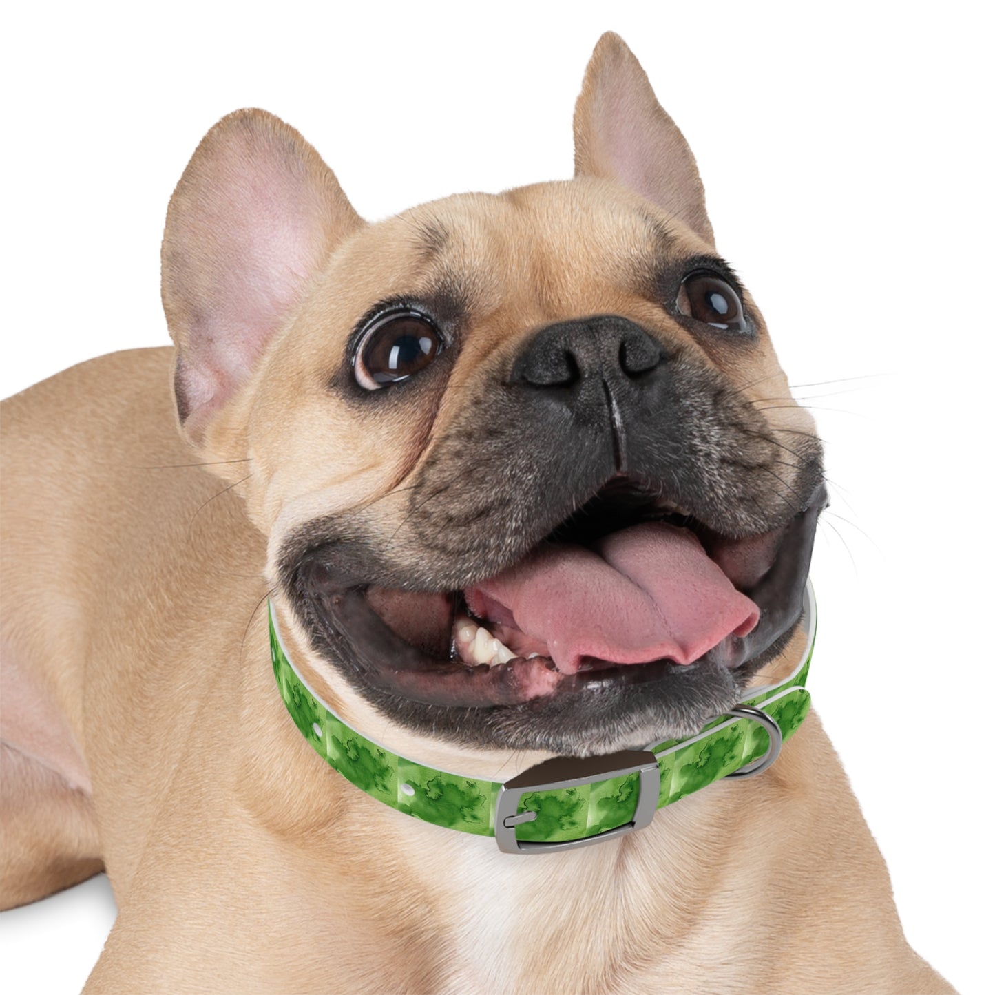 St Patrick's Dog Collar