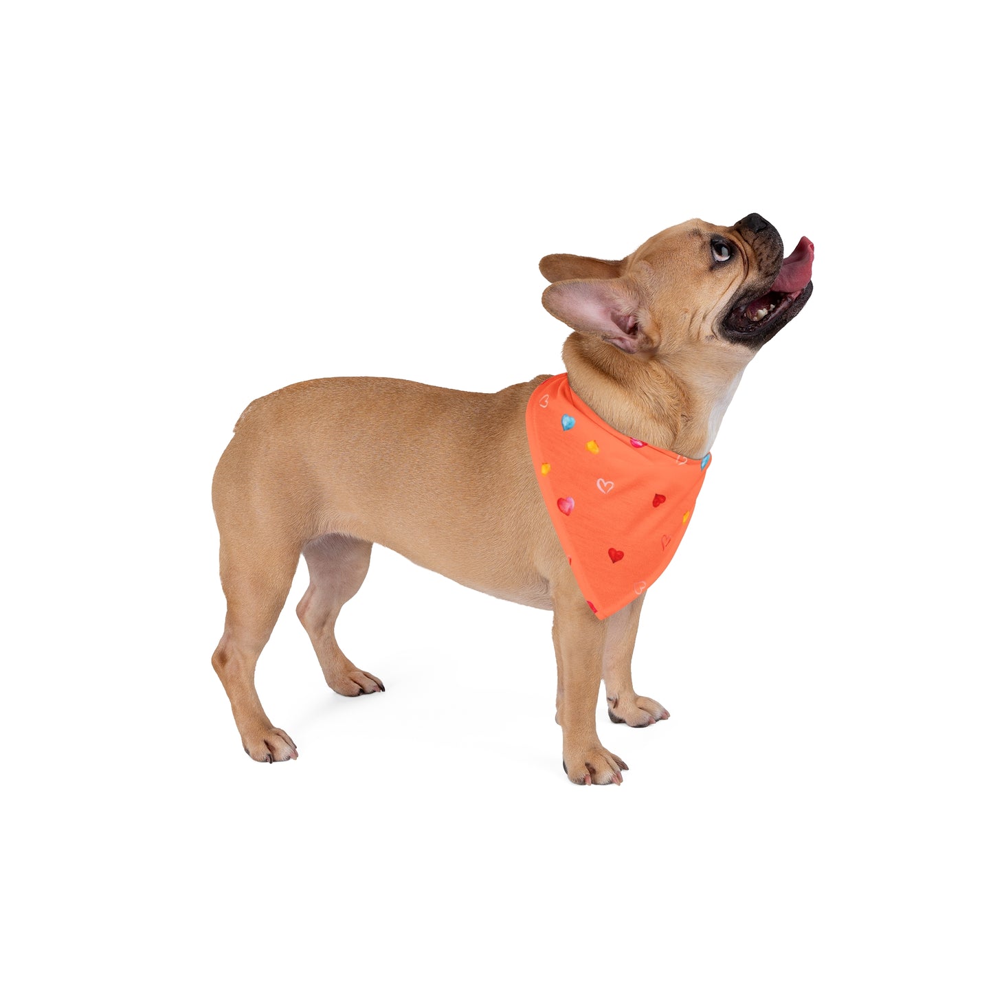 Valentine Hearts Dog Bandana