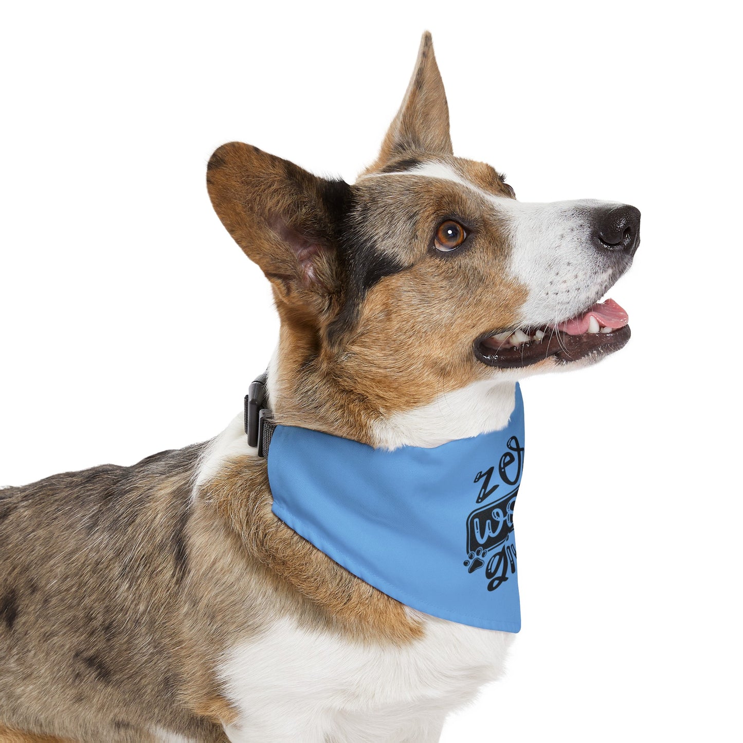Zero Woofs Given Pet Bandana Collar
