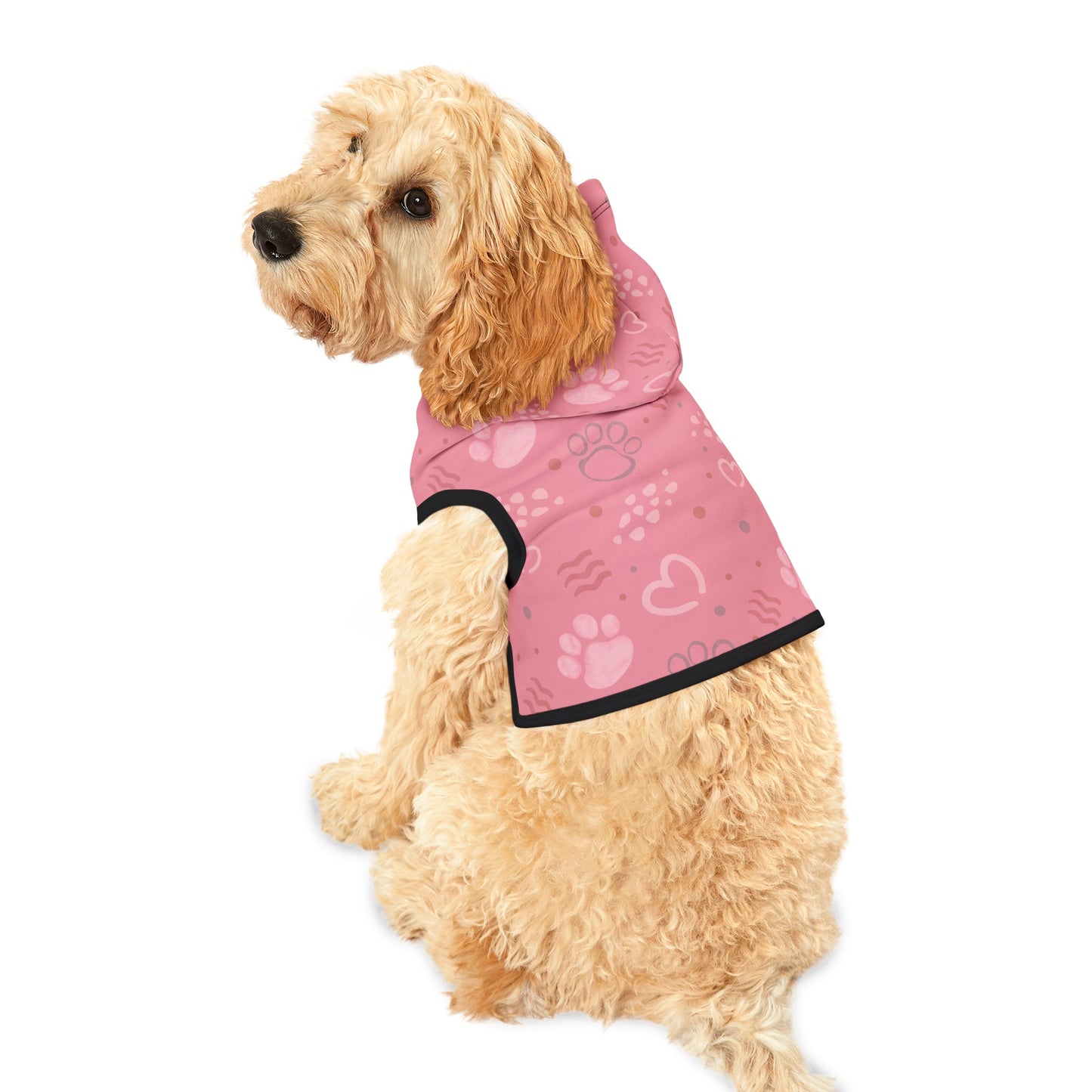 Paws and Hearts Dog Hoodie