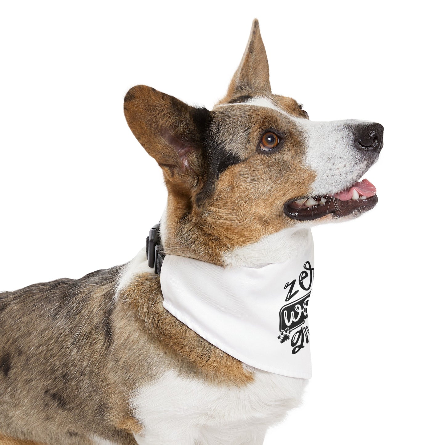 Zero Woofs Given Pet Bandana Collar