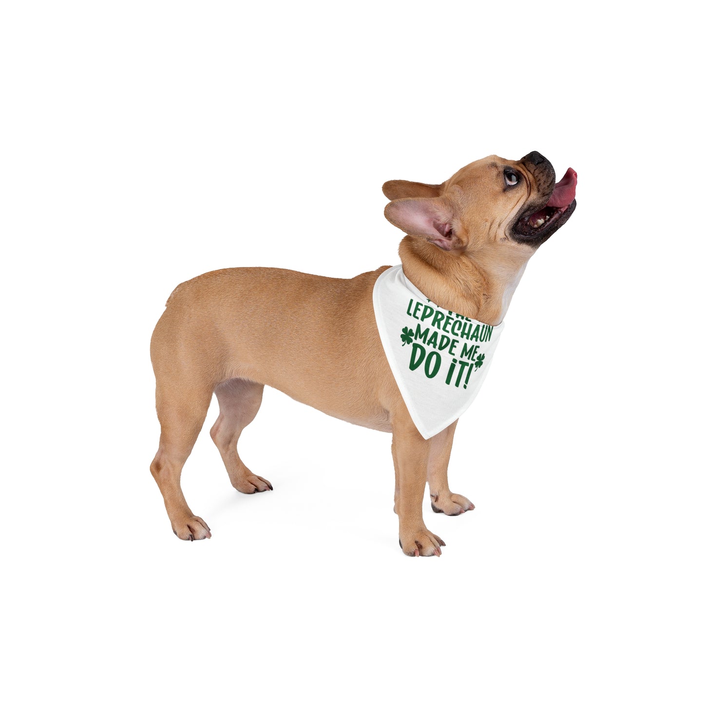 The Leprechauns Made Me Do It Dog Bandana