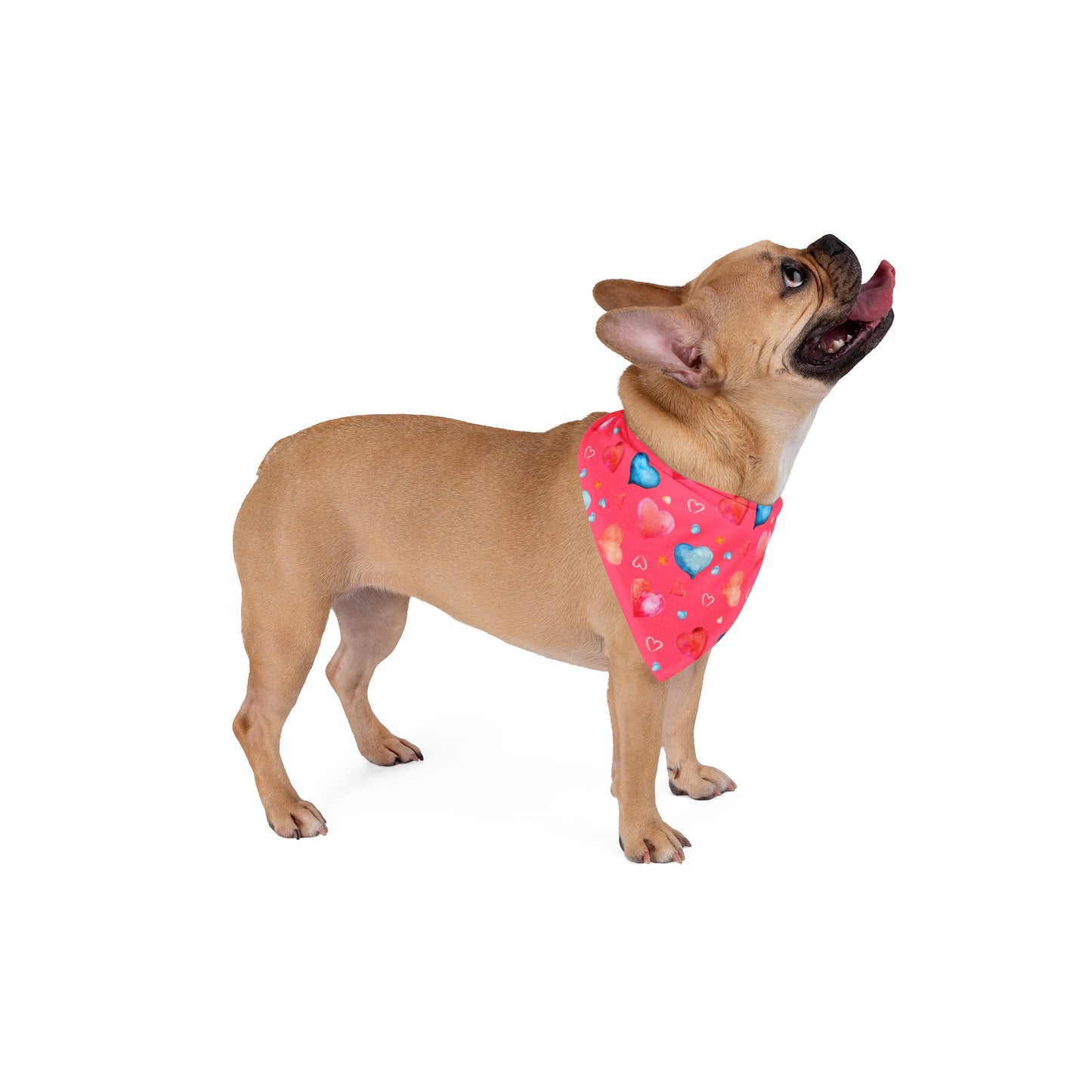 Valentine Hearts Dog Bandana