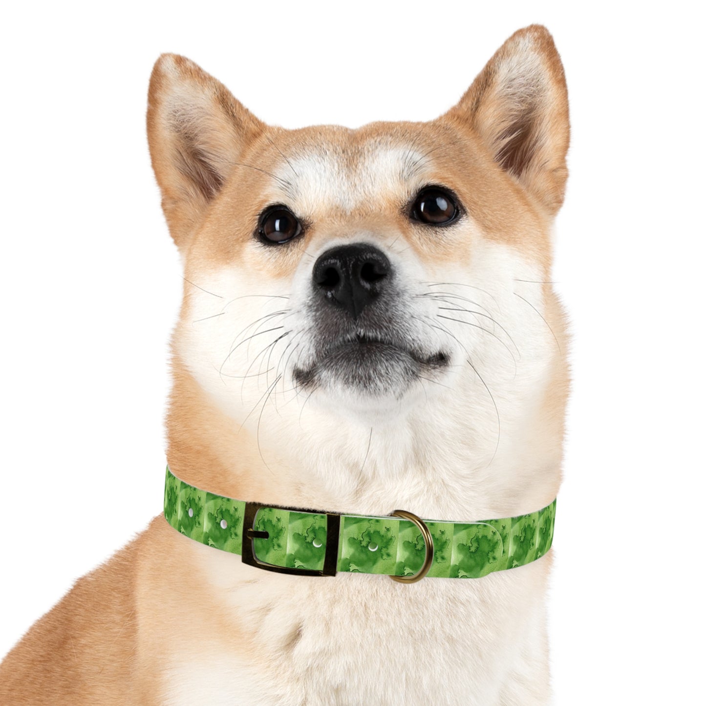 St Patrick's Dog Collar
