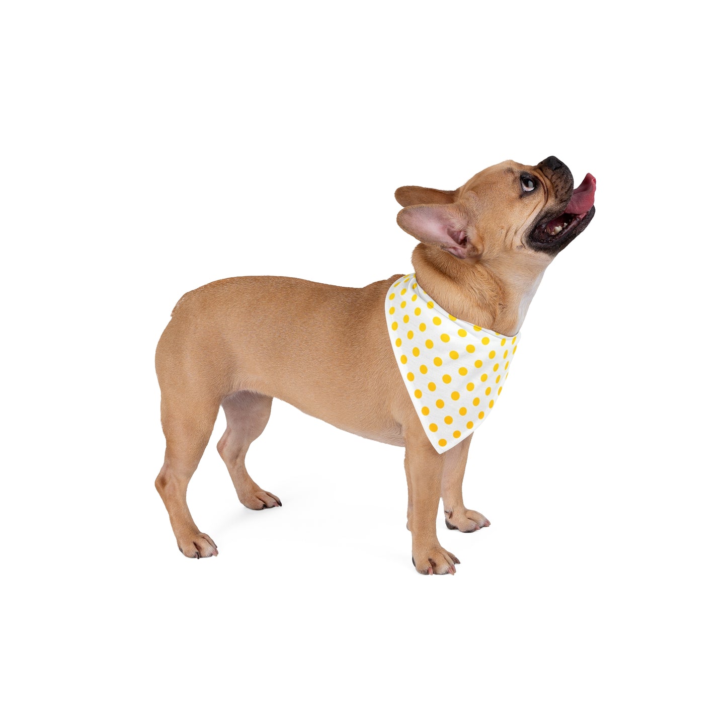 Yellow Polka Dots Dog Bandana