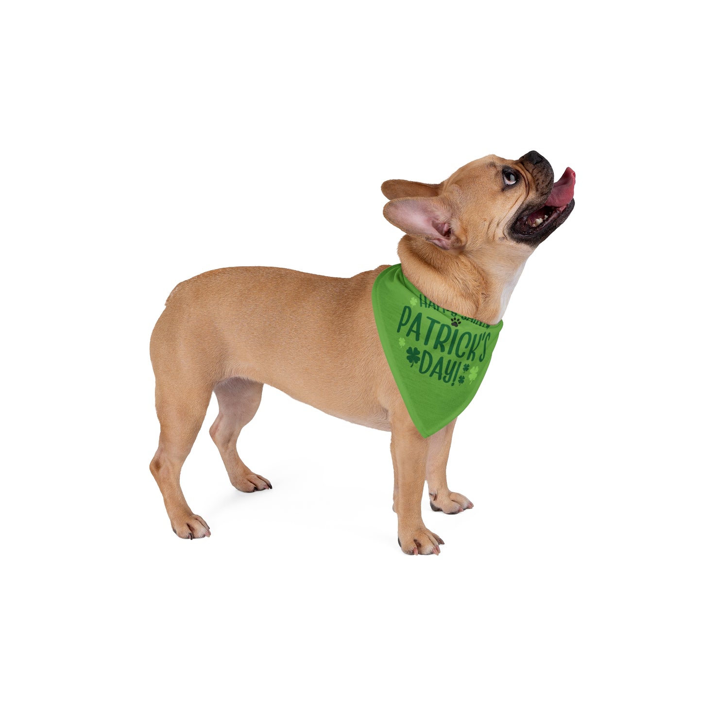 Happy St Patrick's Day Dog Bandana