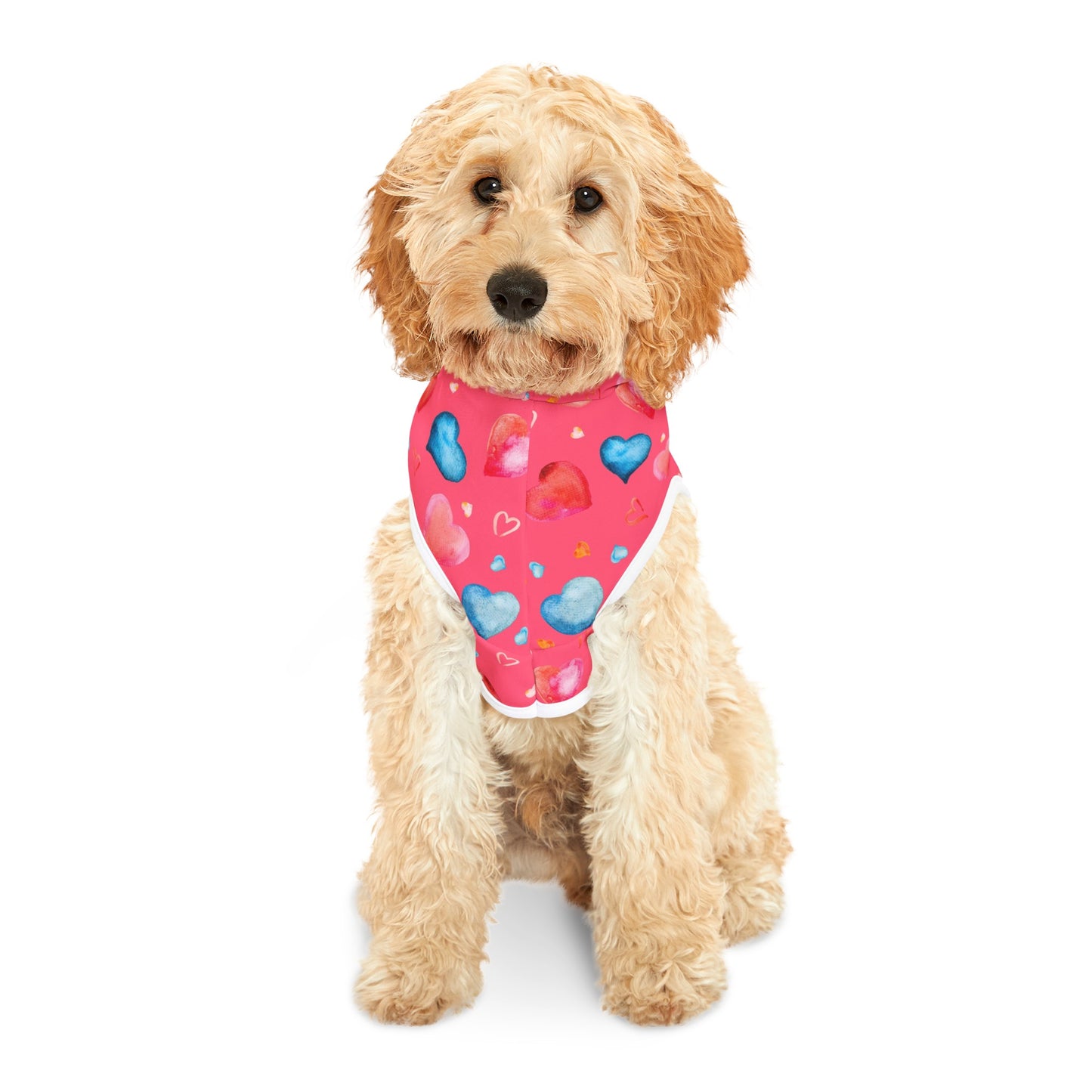 Love Hearts Dog Hoodie