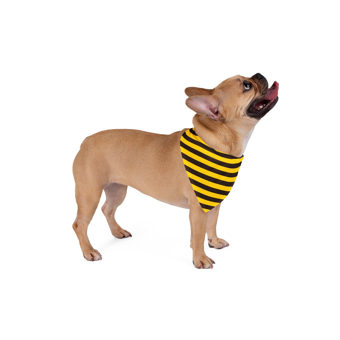 Black & Yellow Stripes Dog Bandana