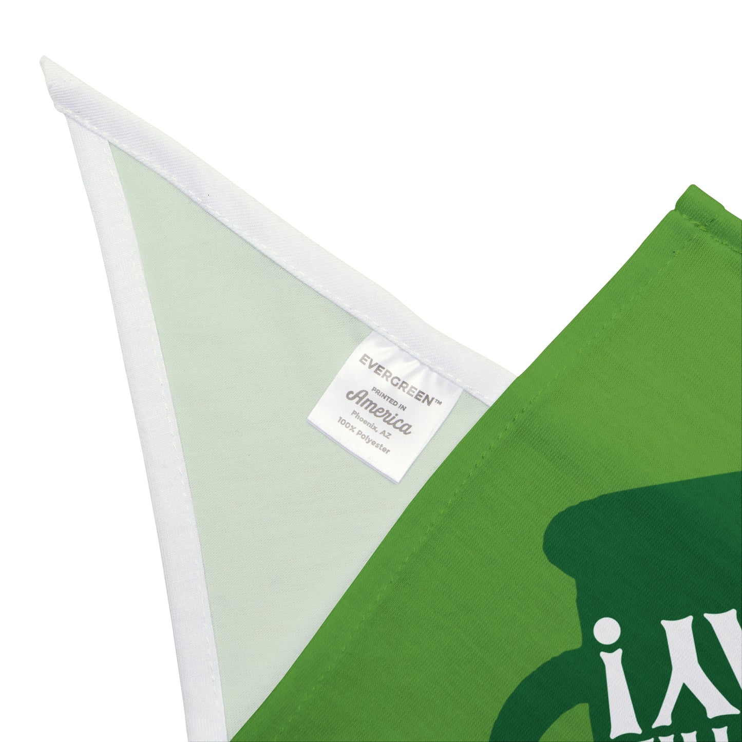 Irish For The Day Dog Bandana