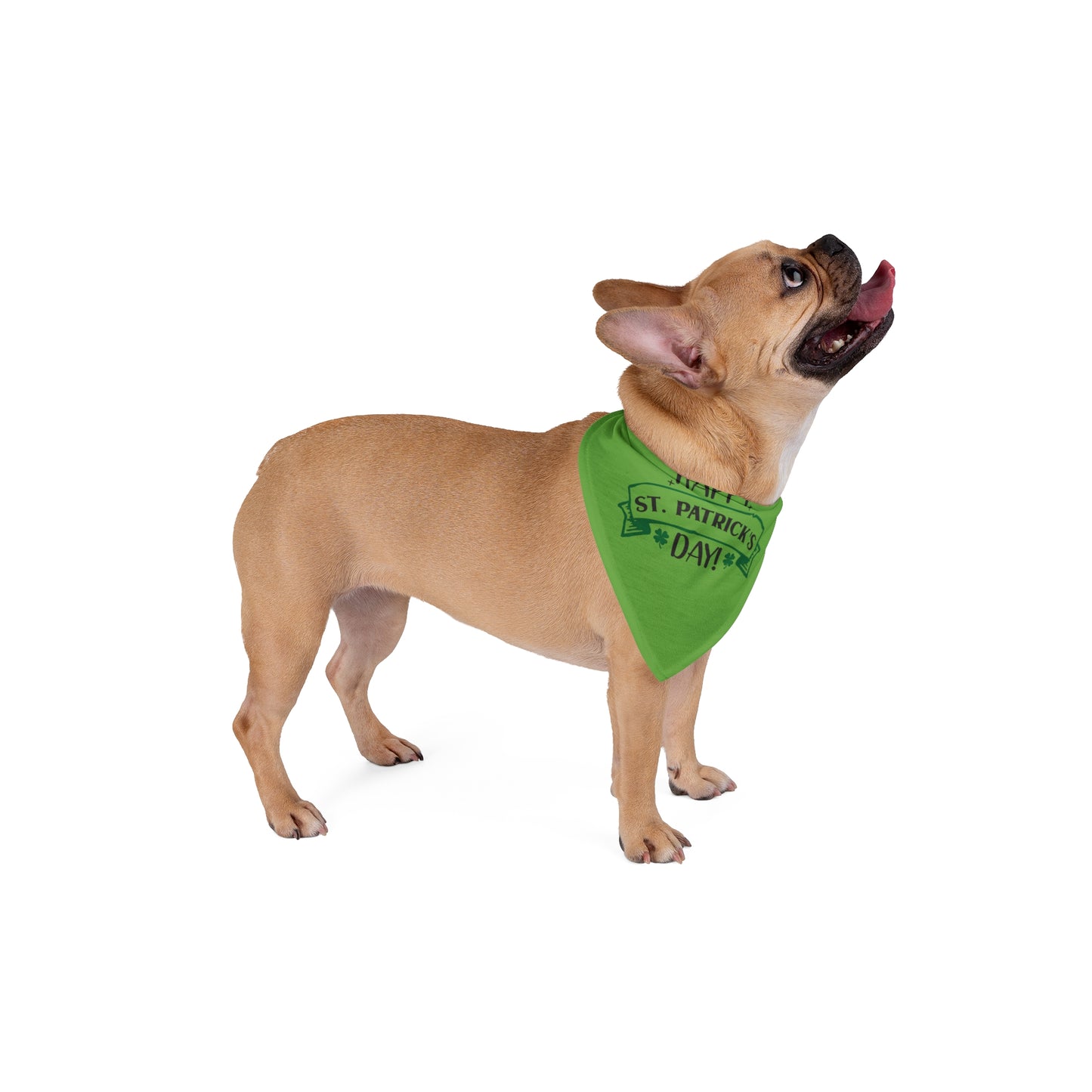 Happy St Patrick's Day Dog Bandana
