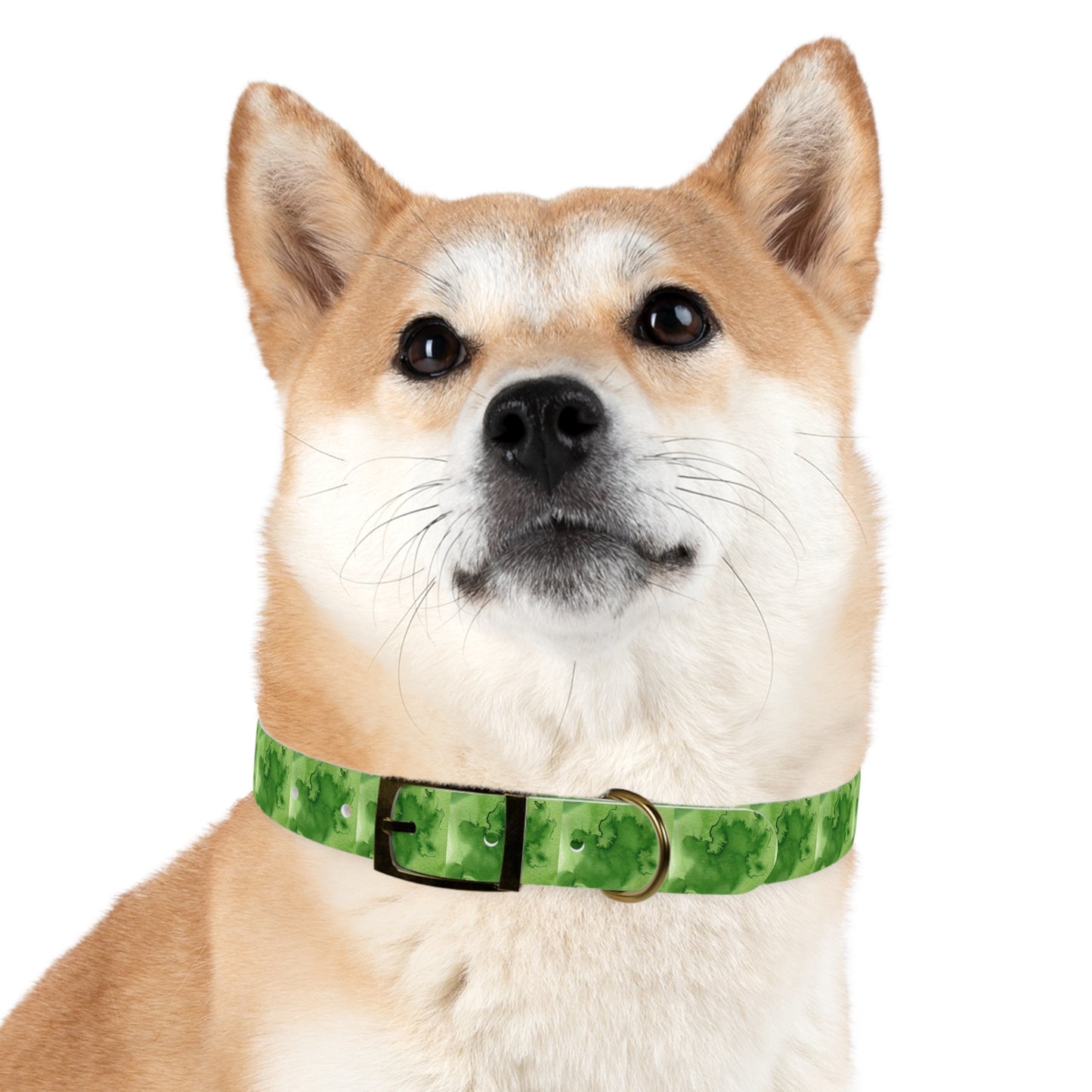 St Patrick's Dog Collar