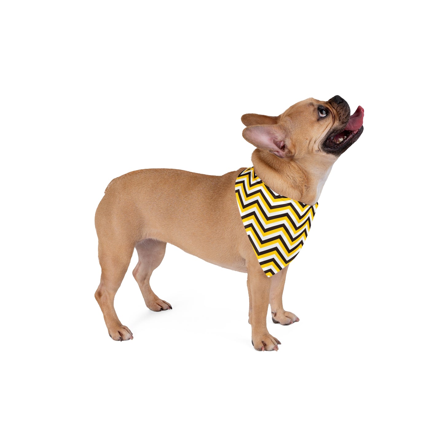 Black & Yellow Abstract Stripes Dog Bandana