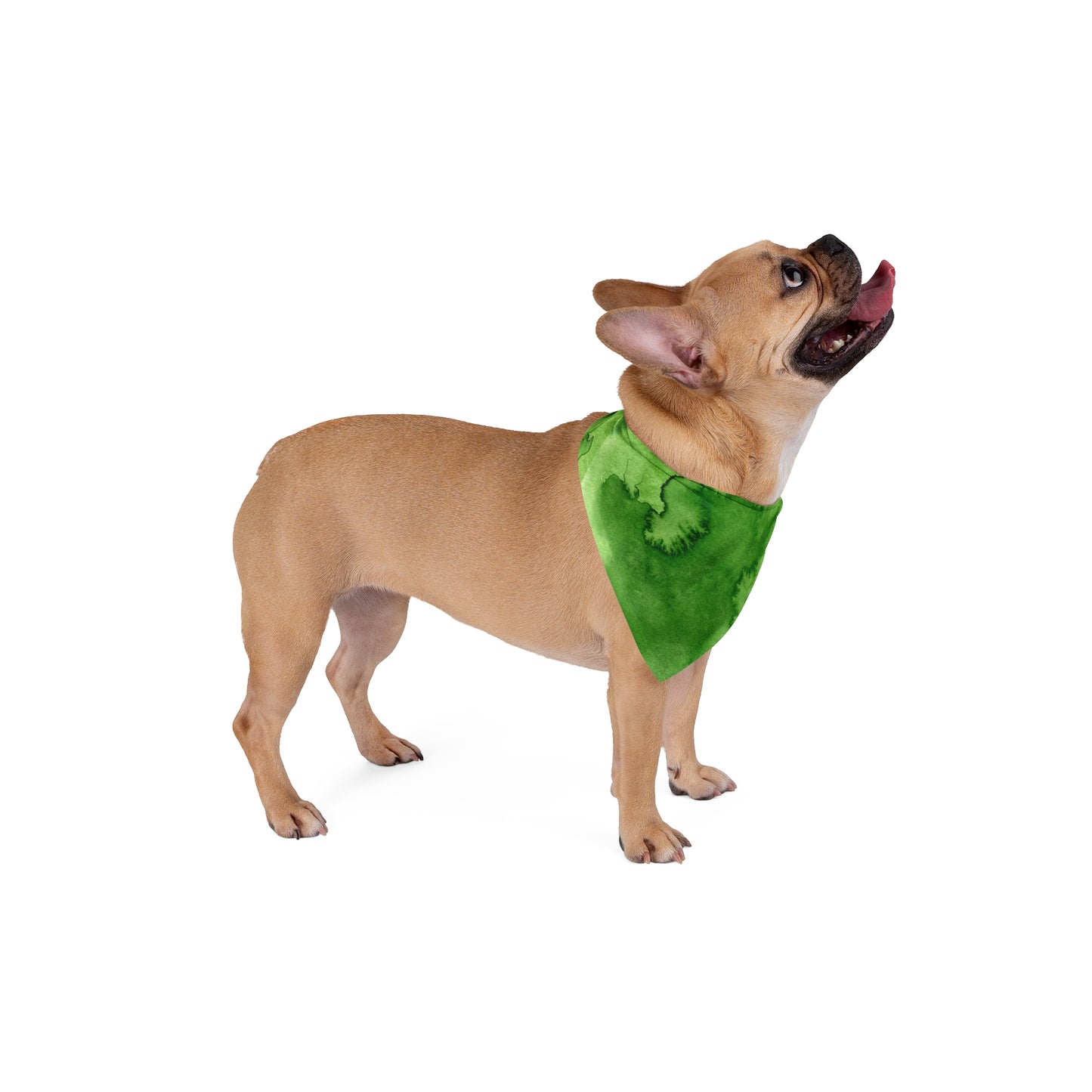 St Patricks Dog Bandana