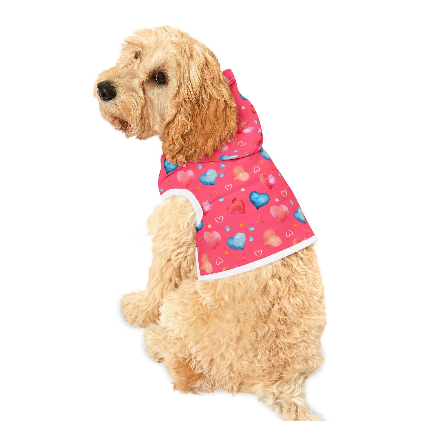 Love Hearts Dog Hoodie