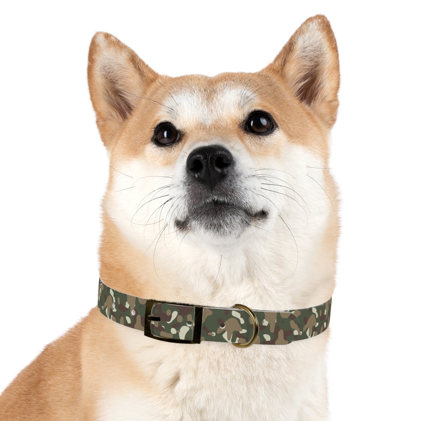 Camouflage Dog Collar