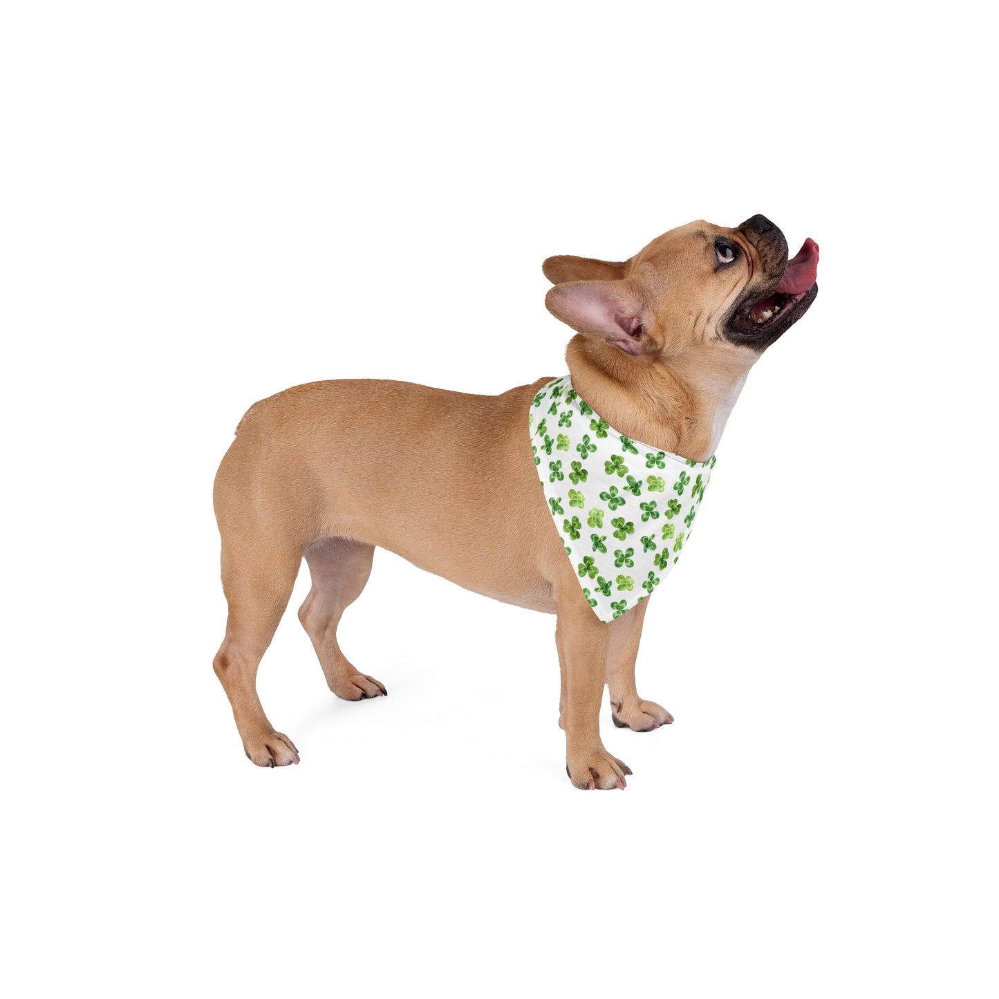 St Patricks Clovers Dog Bandana