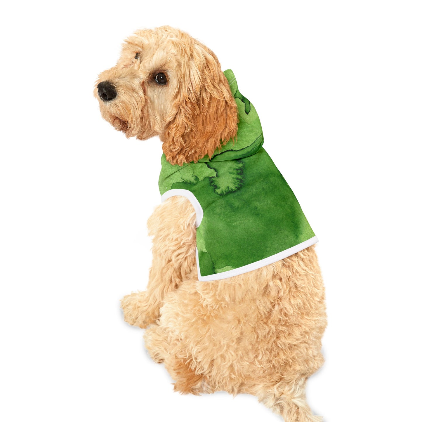St Patrick's Day Dog Hoodie