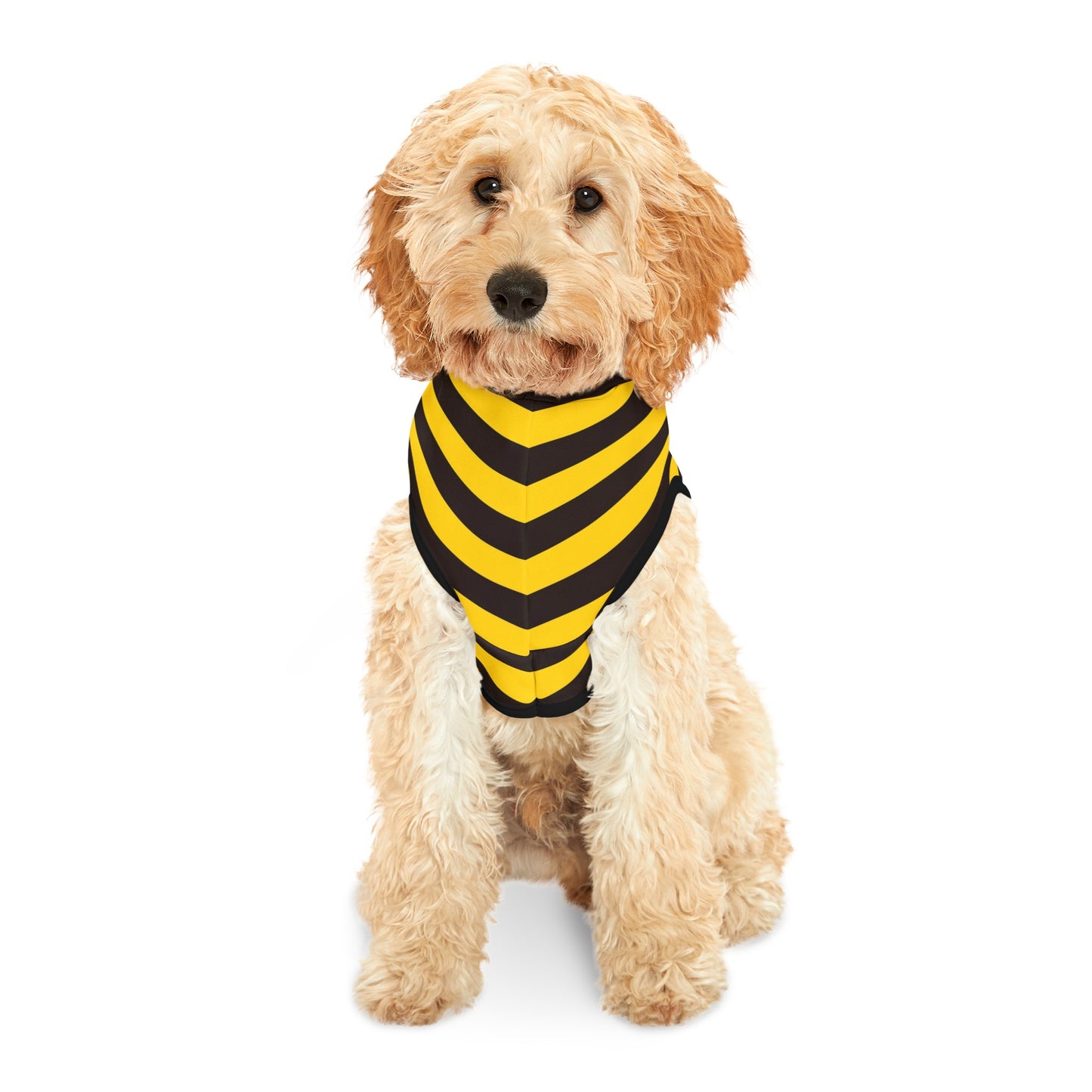 Black & Yellow Stripes Dog Hoodie