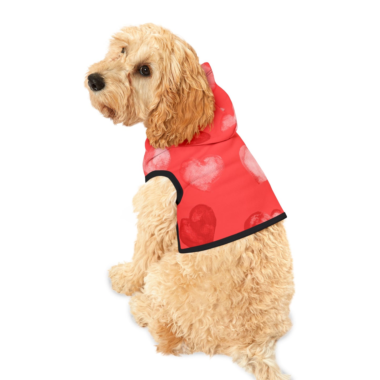 Love Hearts Dog Hoodie