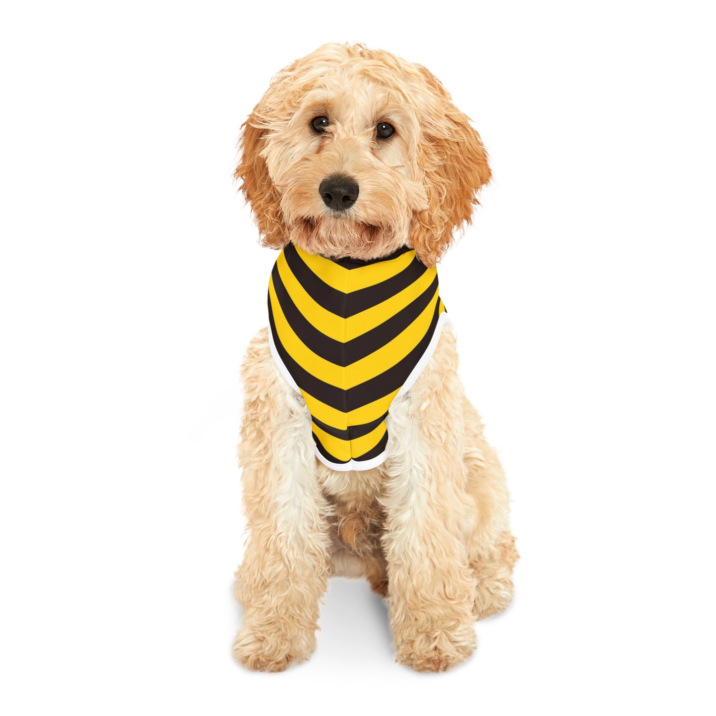 Black & Yellow Stripes Dog Hoodie