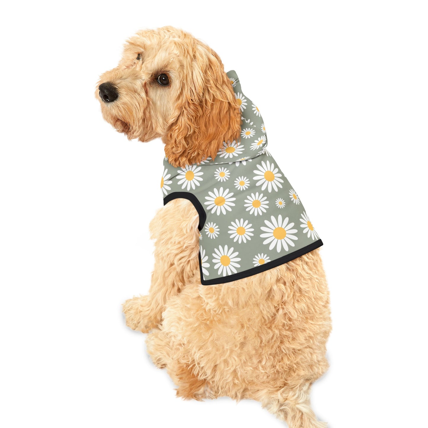 Boho Daisies Dog Hoodie