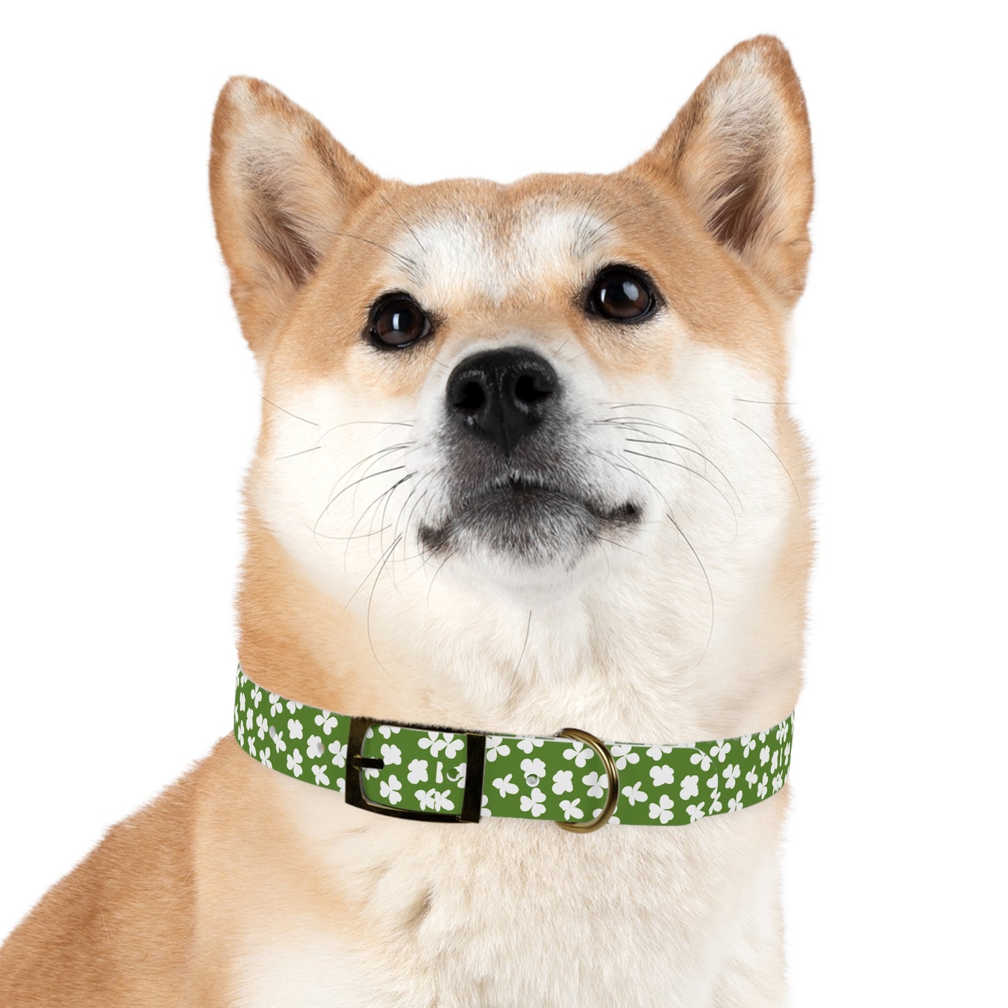 St Patrick's Day Clovers Dog Collar