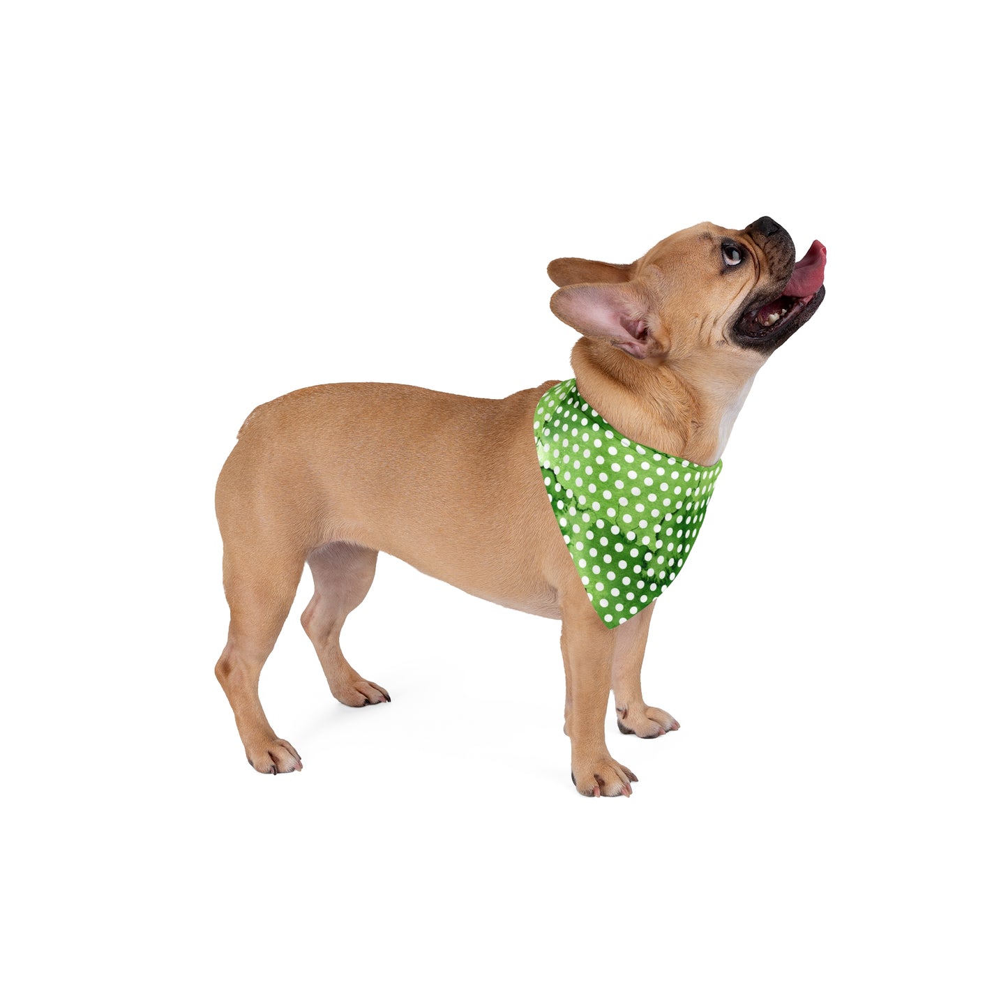 St Patricks Day Polka Dots Dog Bandana