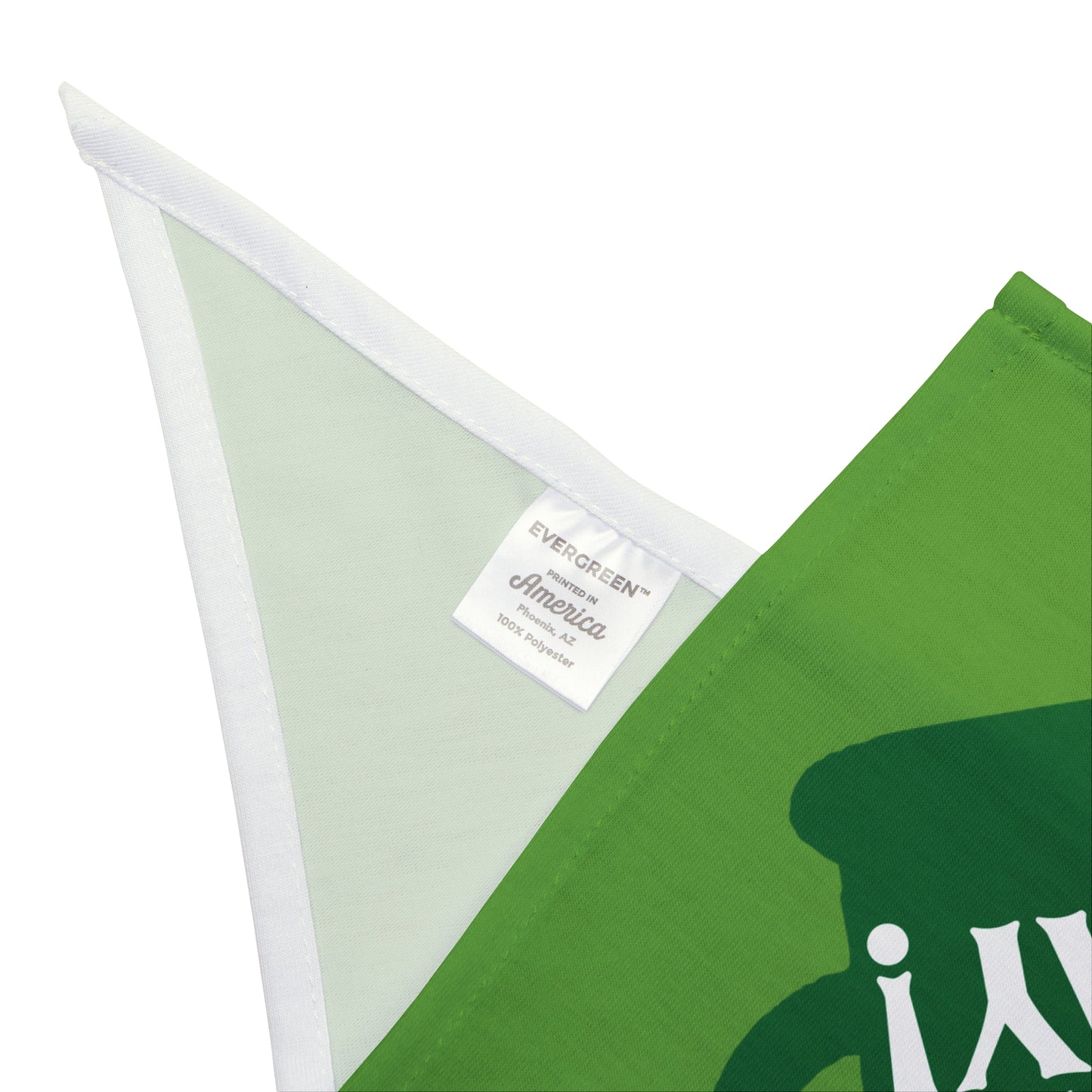 Irish For The Day Dog Bandana