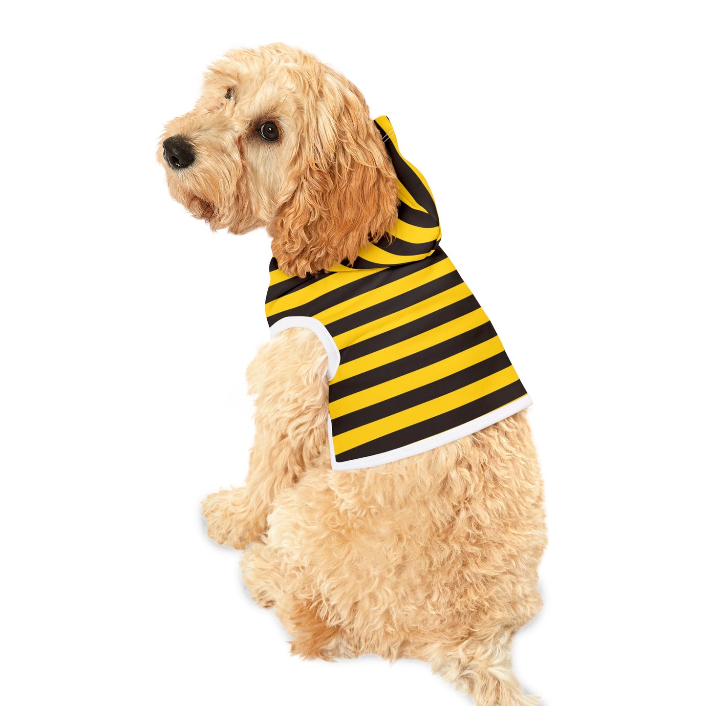 Black & Yellow Stripes Dog Hoodie
