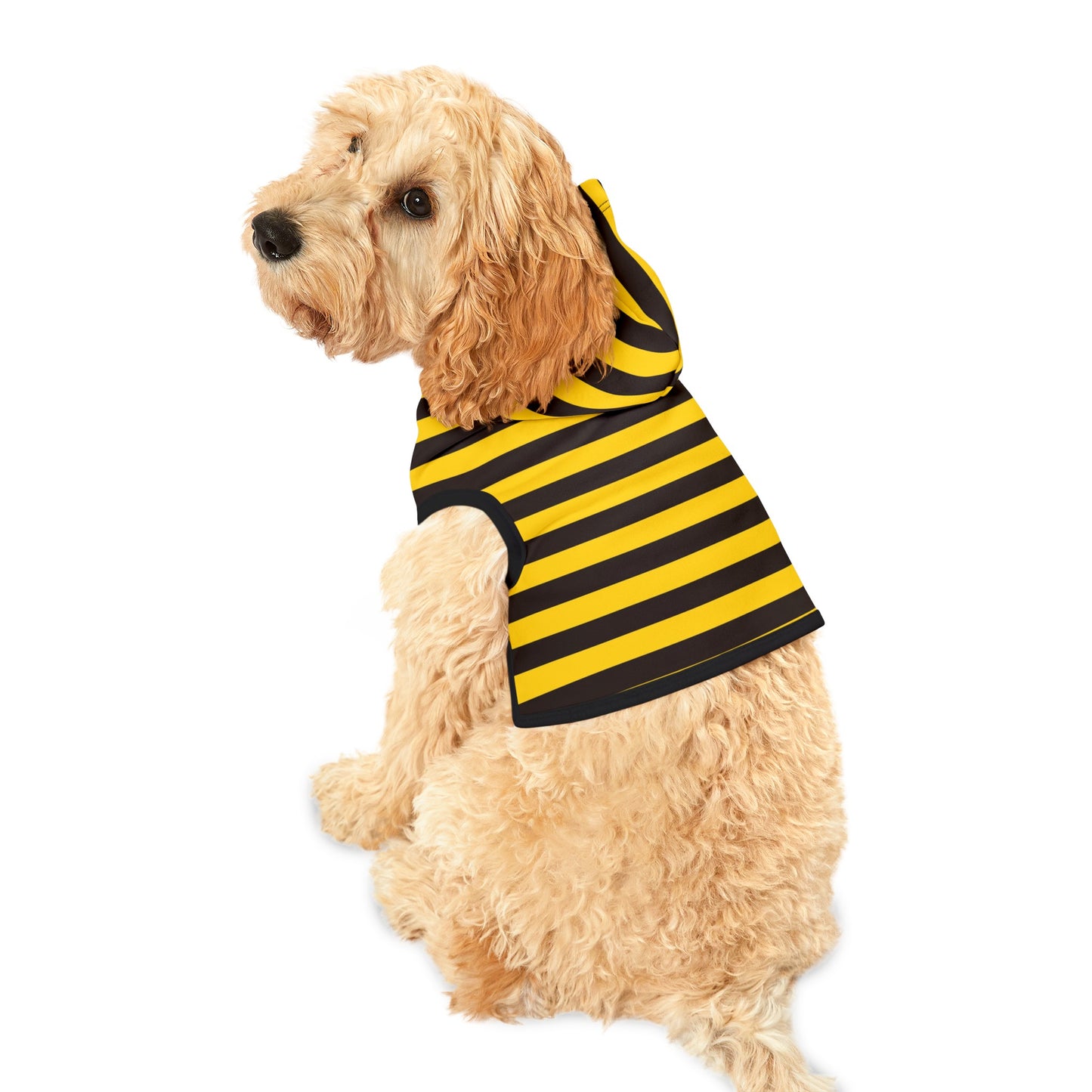 Black & Yellow Stripes Dog Hoodie