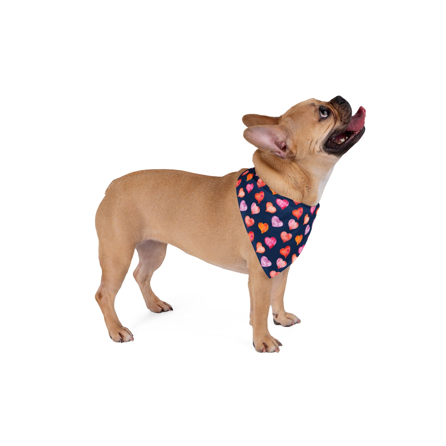 Valentine Hearts Dog Bandana