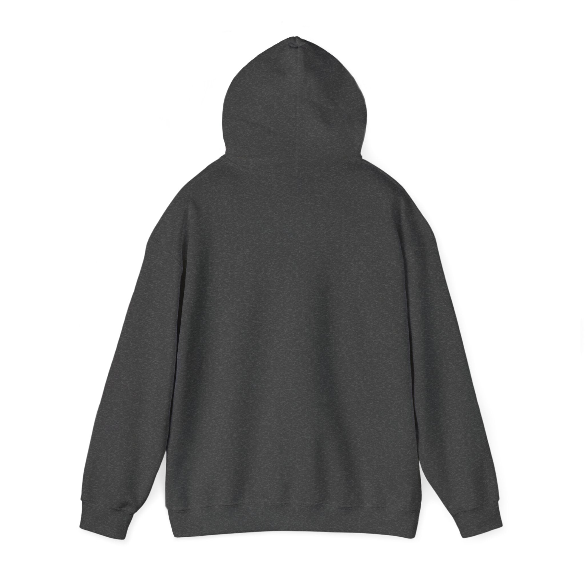 I Didn't Do it Must Have Been The Lecprechauns Unisex Hoodie