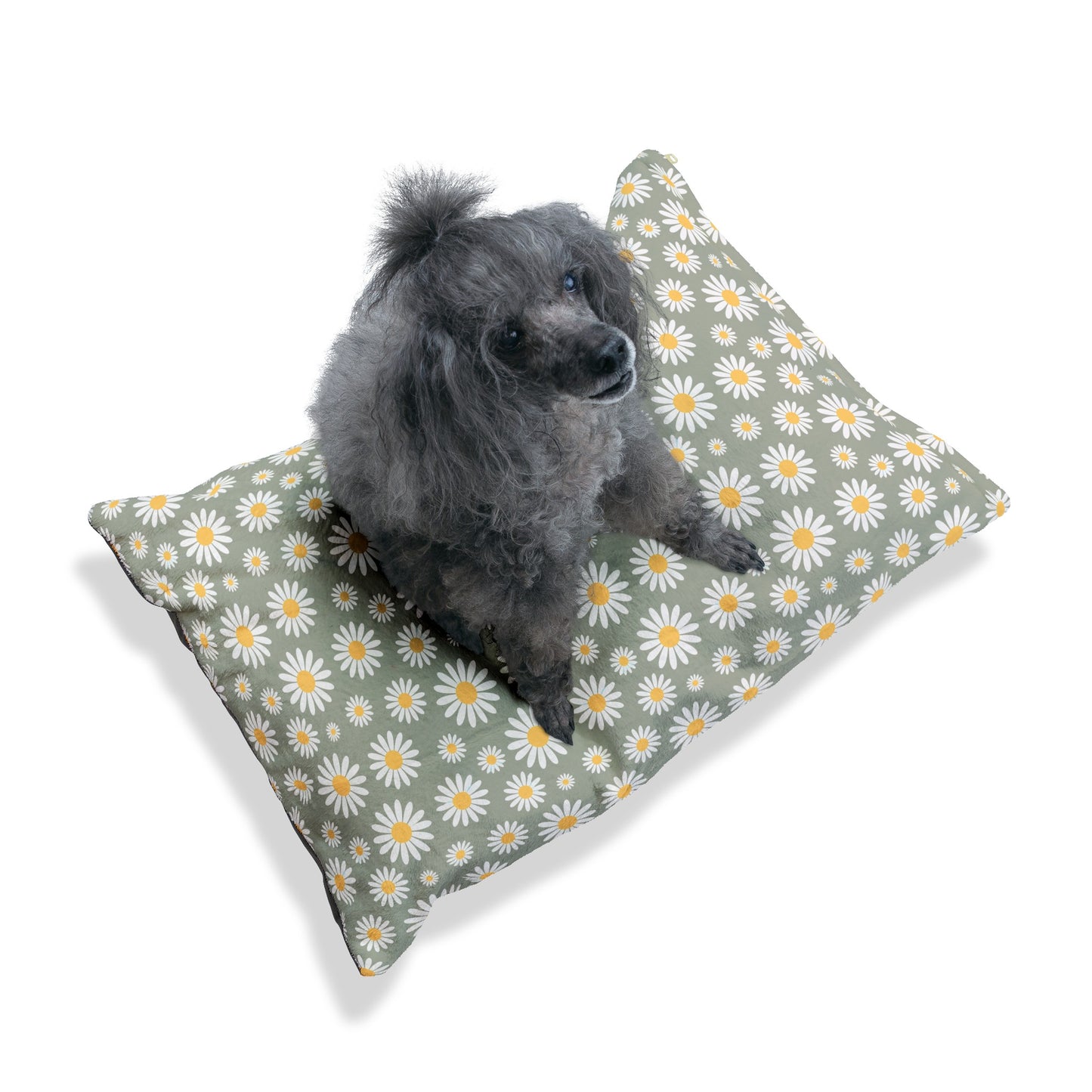 Boho Daisies Dog Bed