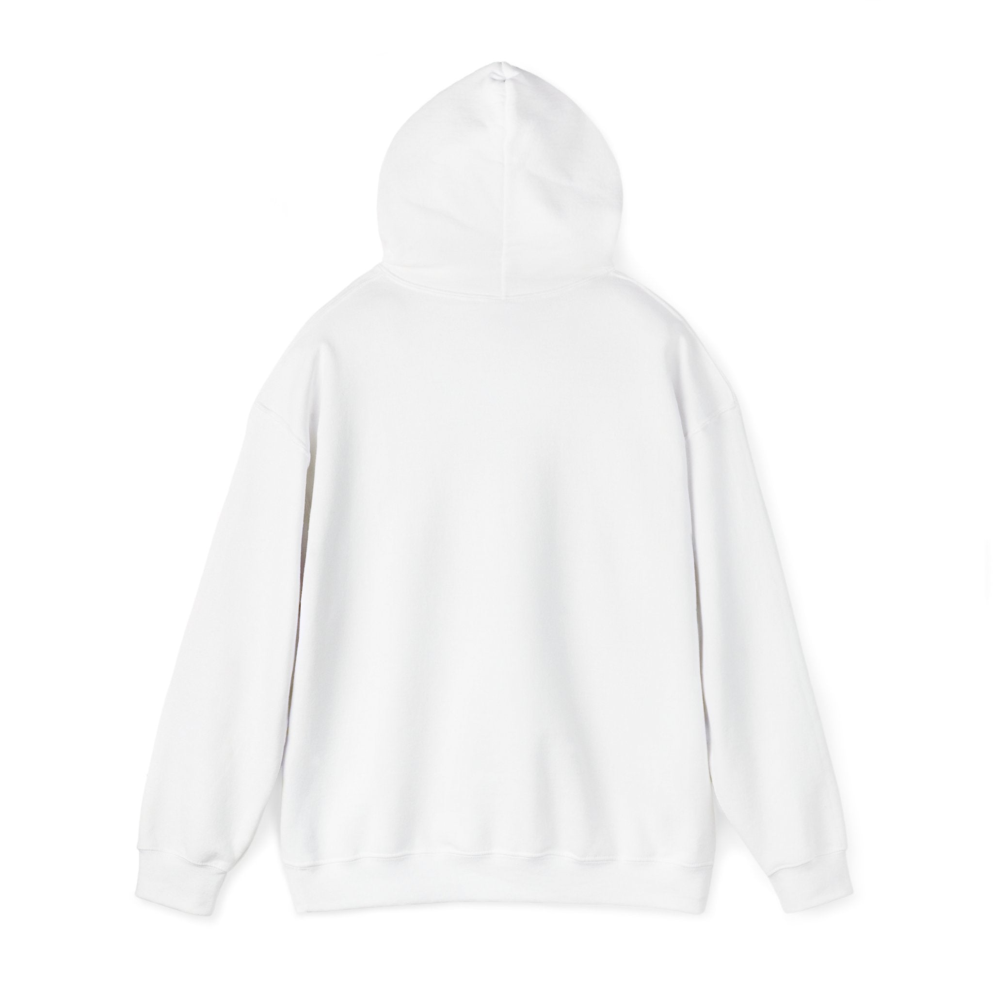 I Didn't Do it Must Have Been The Lecprechauns Unisex Hoodie